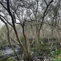 Las Piñas-Parañaque Critical Habitat and Ecotourism Area (LPPCHEA) - Las Pinas