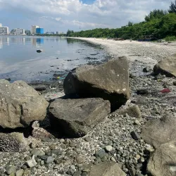 Las Piñas-Parañaque Critical Habitat and Ecotourism Area (LPPCHEA) - Las Pinas