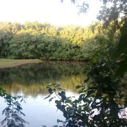 Las Piñas-Parañaque Critical Habitat and Ecotourism Area (LPPCHEA) - Las Pinas