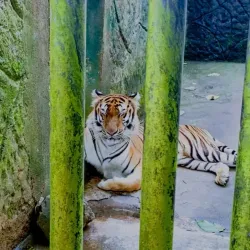 Albay Park and Wildlife - Legazpi