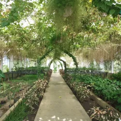 Bicol Museum - Legazpi