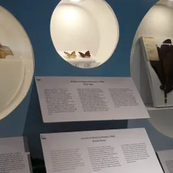 Bicol Museum - Legazpi