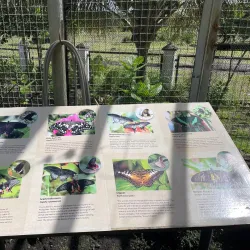 Bicol Museum - Legazpi