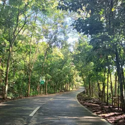 Lignon Hill Nature Park - Legazpi