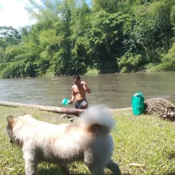 Bicol River - Ligao City