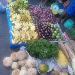Ligao Public Market - Ligao City