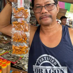 Ligao Public Market - Ligao City