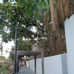 Ligao Public Market - Ligao City