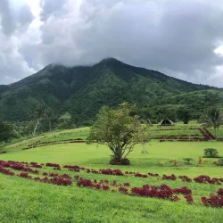 Purok 7 Eco Park - Ligao City