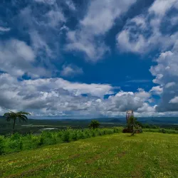 Purok 7 Eco Park - Ligao City