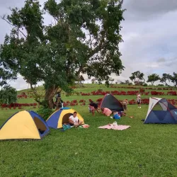 Purok 7 Eco Park - Ligao City