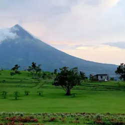 Purok 7 Eco Park - Ligao City