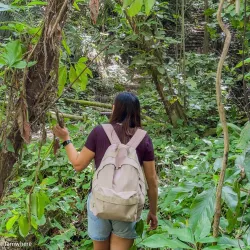 Mataas Na Lupa Falls - Lipa