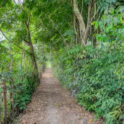 Mataas Na Lupa Falls - Lipa