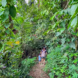 Mataas Na Lupa Falls - Lipa