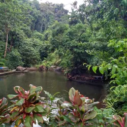 Lake Danao - Maasin City