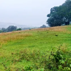 Barangay Festivals - Magallanes
