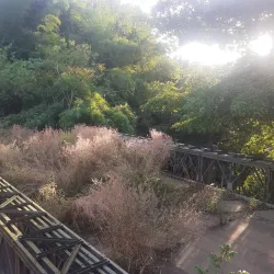 Barangay Festivals - Magallanes