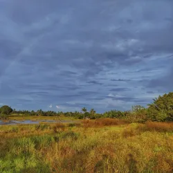 Barangay Festivals - Magallanes