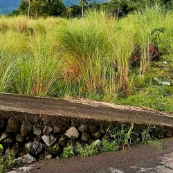 Barangay Festivals - Magallanes