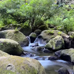 Local River Fishing Spots - Magallanes