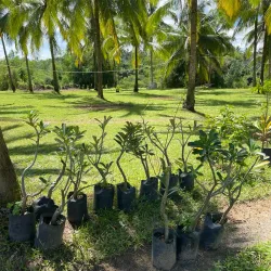 Local River Fishing Spots - Magallanes