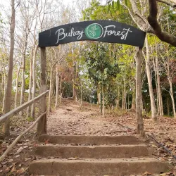 Magallanes Hiking Trails - Magallanes