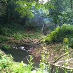 Magallanes River - Magallanes