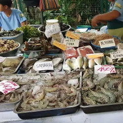 Salcedo Saturday Market - Makati
