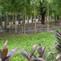 Washington SyCip Park - Makati