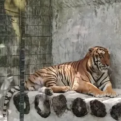 Malabon Zoo - Malabon