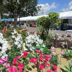 Mandaue City Hall - Mandaue
