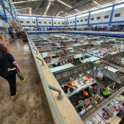 Mandaue Public Market - Mandaue