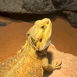 Manila Ocean Park - Manila