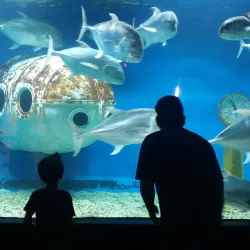 Manila Ocean Park - Manila