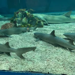 Manila Ocean Park - Manila