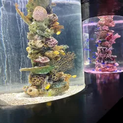 Manila Ocean Park - Manila