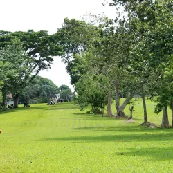 Mindanao State University (MSU) - Marawi