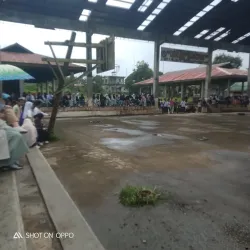 Torogan Houses - Marawi