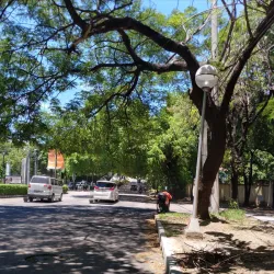 Ayala Alabang Village - Muntinlupa