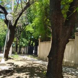 Ayala Alabang Village - Muntinlupa