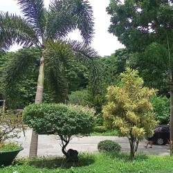 Pamantasan ng Lungsod ng Muntinlupa (PLM) - Muntinlupa