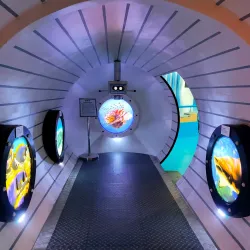 Bicol University Museum - Naga