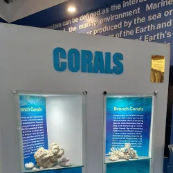 Bicol University Museum - Naga