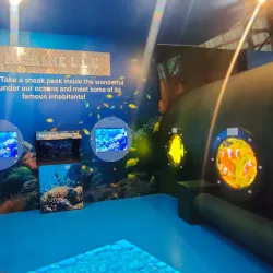 Bicol University Museum - Naga