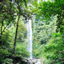 Mount Isarog National Park - Naga