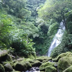 Mount Isarog National Park - Naga