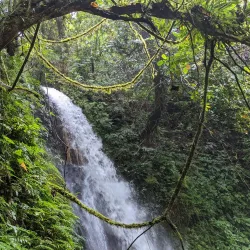 Mount Isarog National Park - Naga