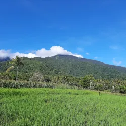 Mount Isarog National Park - Naga