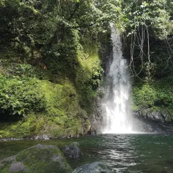 Mount Isarog National Park - Naga
